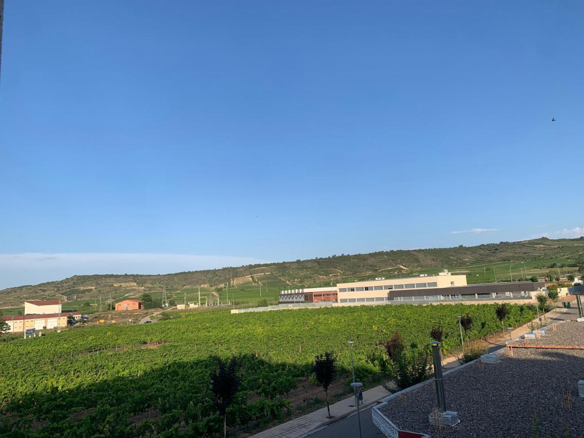 Apartmán Casa Cristina - Rioja II Cenicero Exteriér fotografie